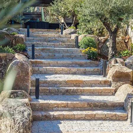 Maier Sainte-Lucie de Porto-Vecchio